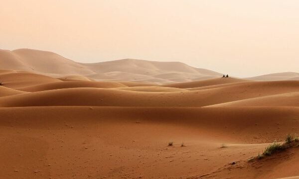 Una coca-cola en el desierto